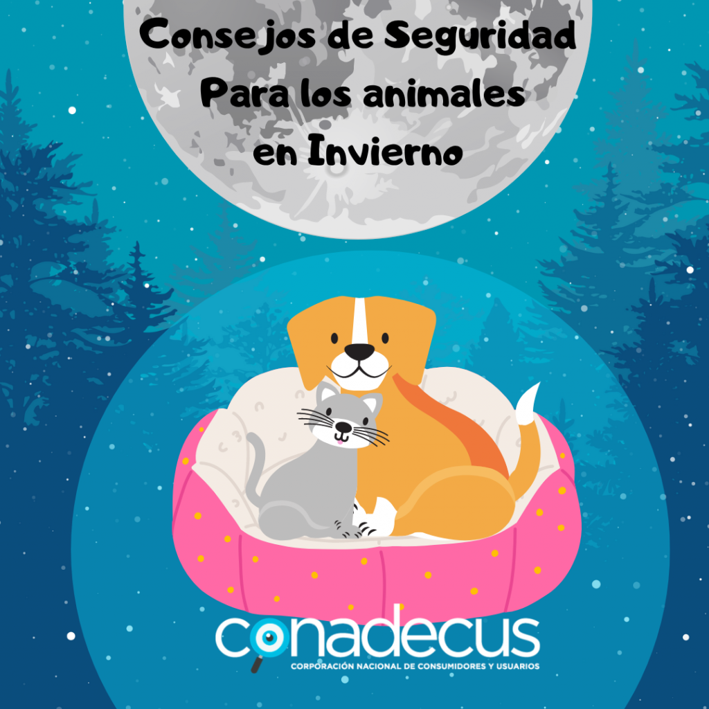 consejos para mascotas durante el frio 2023