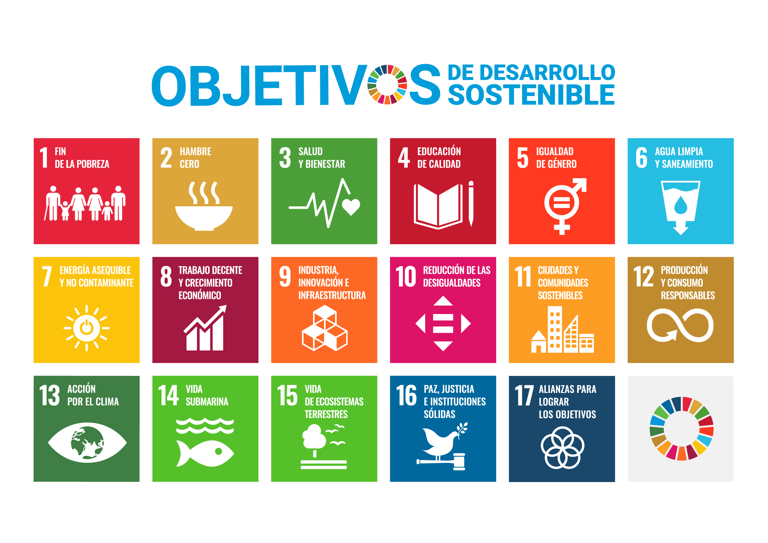 onu desarrollo sostenible