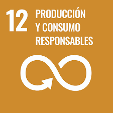 obejitov desarrollo sostenible, 12, onu, mundo, planeta, organización,