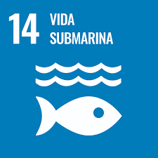 cuidar, oceanos, biodiversidad, marina,