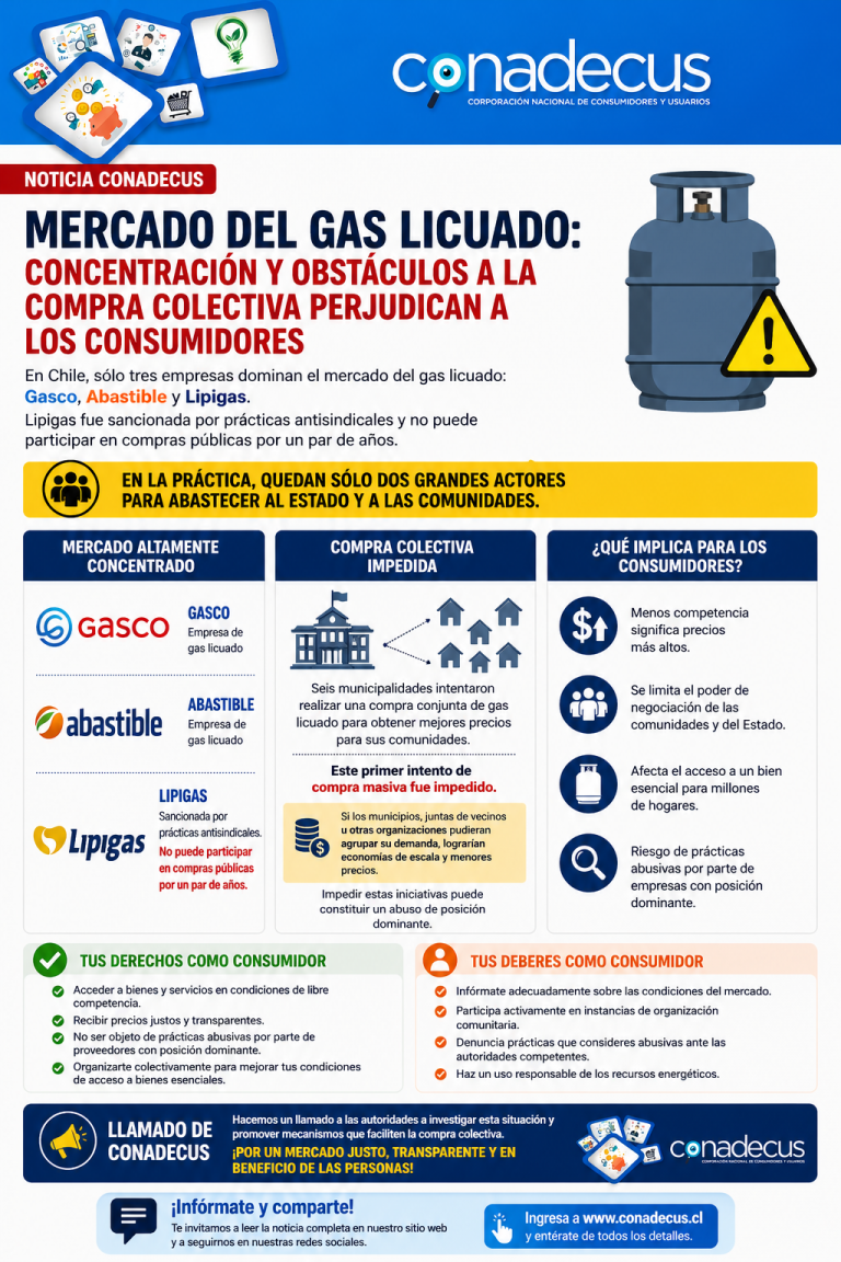 Mercado del gas licuado en la mira: CONADECUS denuncia trabas a compras ...